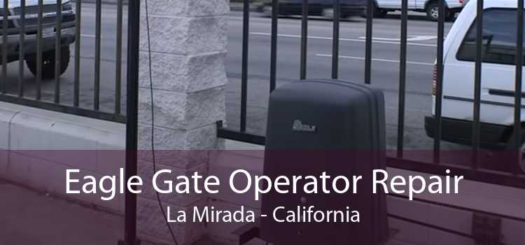 Eagle Gate Operator Repair La Mirada - California